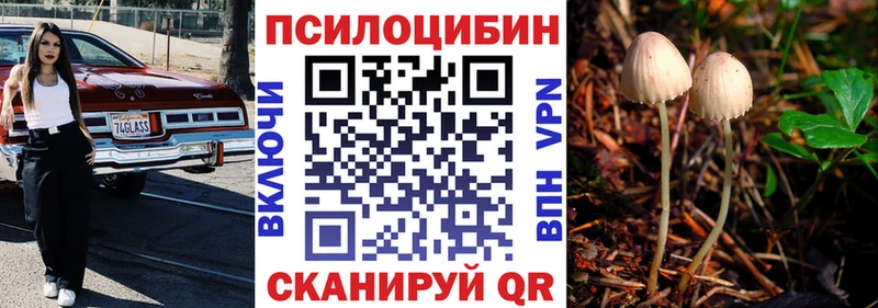маркетплейс официальный сайт  Тимашёвск  Галлюциногенные грибы мухоморы 